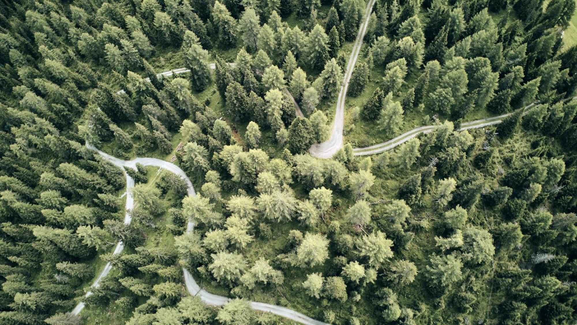Almi'S Berghotel Obernberg am Brenner Exteriör bild