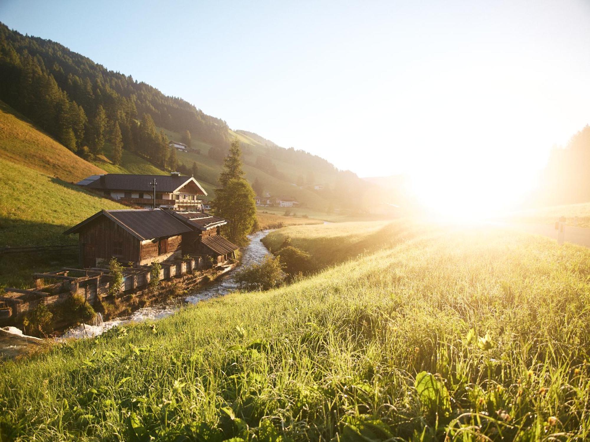 Almi'S Berghotel Obernberg am Brenner Exteriör bild